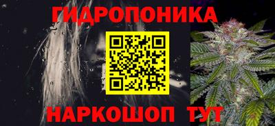 ECSTASY Будённовск
