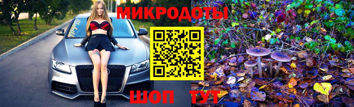 Псилоцибиновые грибы Psilocybe Нефтеюганск