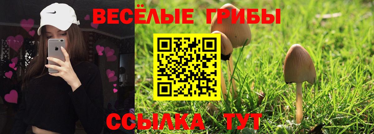 Нефтеюганск  Псилоцибиновые грибы Cubensis  Галлюциногенные грибы Psilocybine cubensis  Вход с VPN 